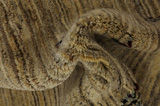 Gabbeh - Qashqai Persian Carpet 139x103 - Picture 7