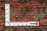 Songhor - Koliai Persian Carpet 332x110 - Picture 4